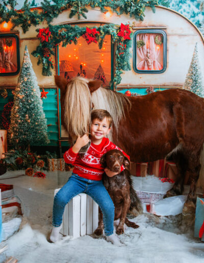 Navidad mágica con niños y mascotas en Jerez